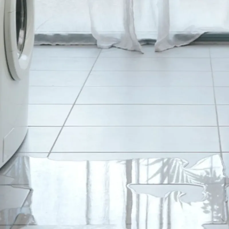 Appliance Leak Cleanup in Fairland, MD